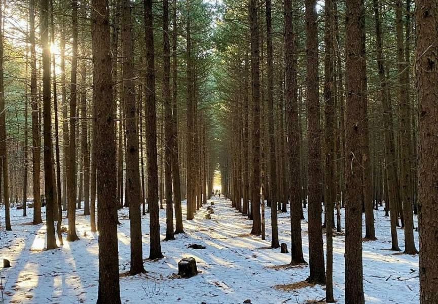 IMAGE 2025-12-12 130012.jpg